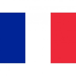 FRENCH FLAG